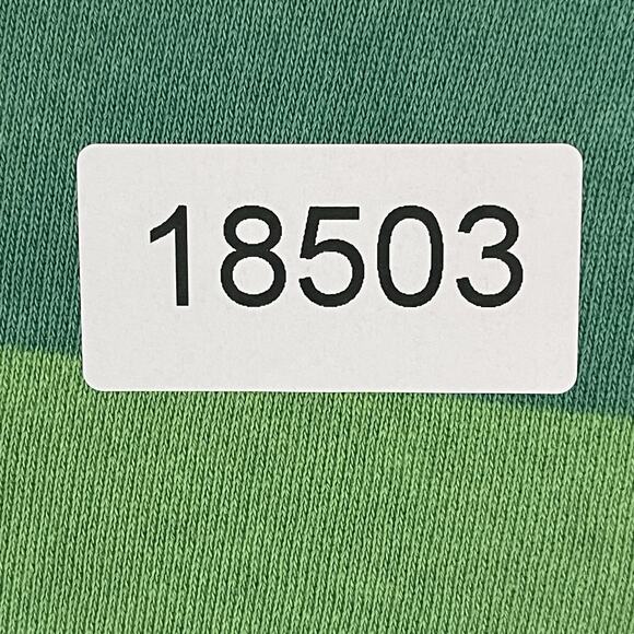 Disney World Sweatshirt Mens 3X Green Mickey and Friends Striped Spirit‎ Jersey - Picture 11 of 11